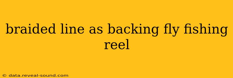 braided line as backing fly fishing reel
