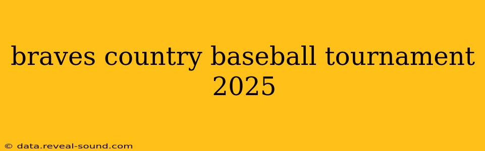 braves country baseball tournament 2025