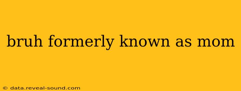 bruh formerly known as mom bruh formerly known as mom