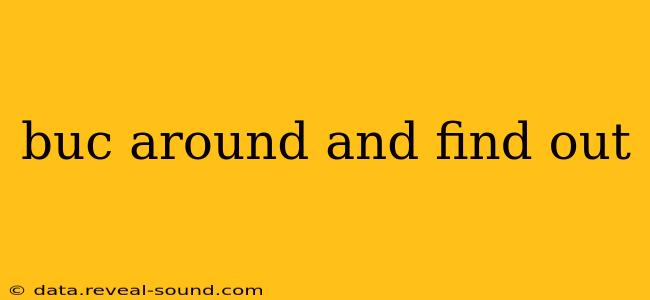 buc around and find out buc around and find out