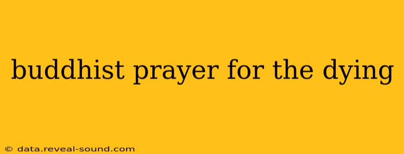 buddhist prayer for the dying