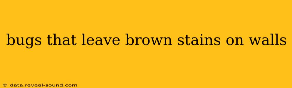 bugs that leave brown stains on walls
