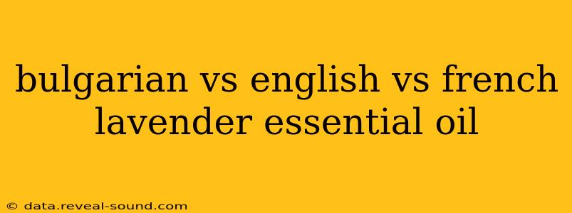 bulgarian vs english vs french lavender essential oil