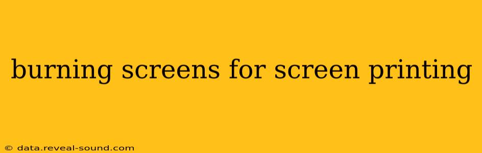 burning screens for screen printing