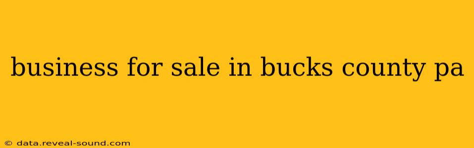 business for sale in bucks county pa