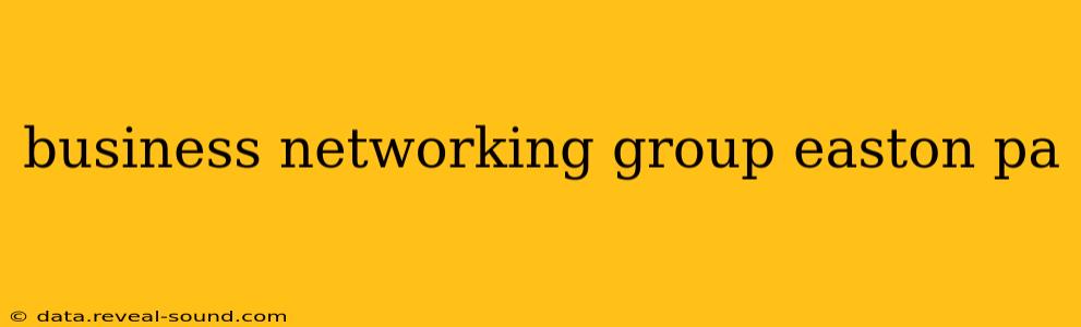 business networking group easton pa