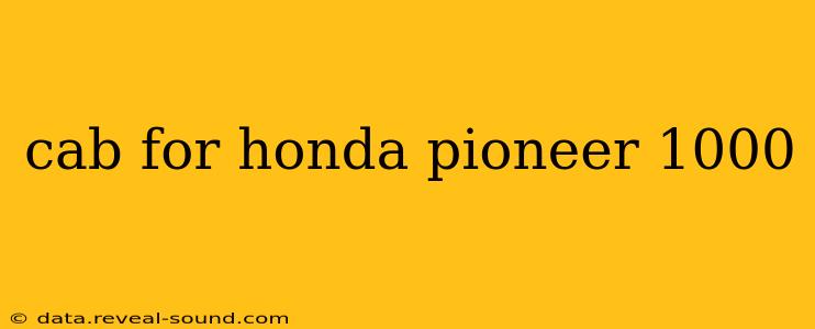 cab for honda pioneer 1000
