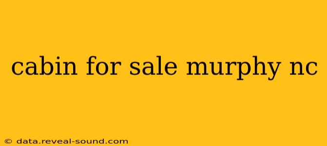 cabin for sale murphy nc