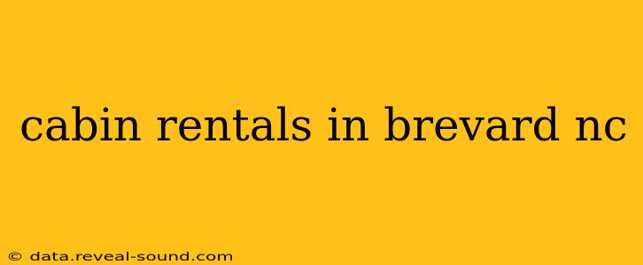 cabin rentals in brevard nc