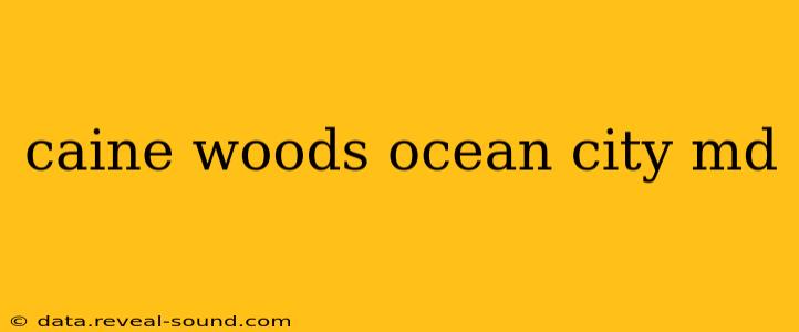 caine woods ocean city md