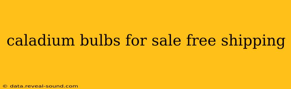 caladium bulbs for sale free shipping
