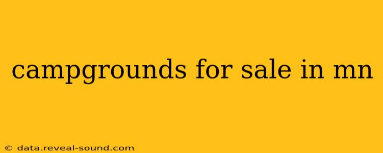 campgrounds for sale in mn