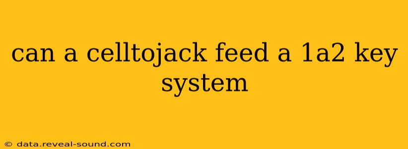 can a celltojack feed a 1a2 key system