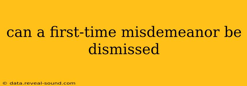 can a first-time misdemeanor be dismissed