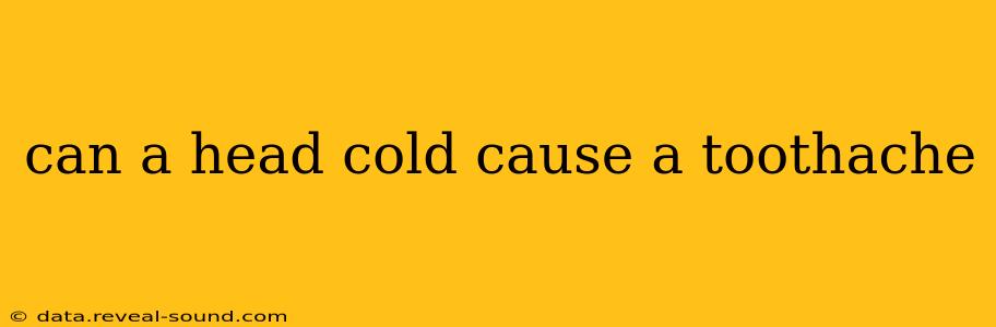 can a head cold cause a toothache