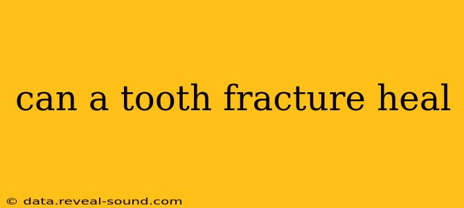 can a tooth fracture heal