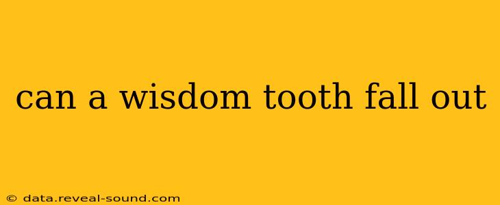 can a wisdom tooth fall out