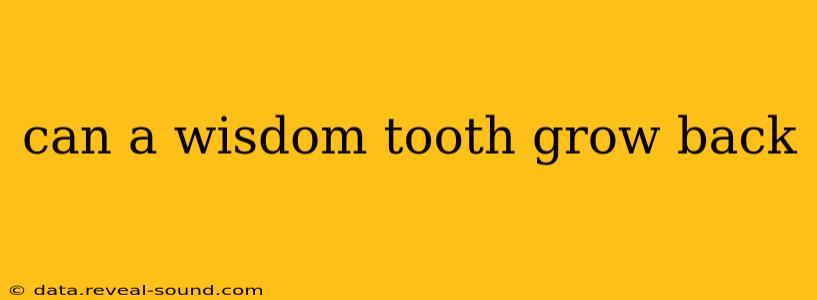 can a wisdom tooth grow back