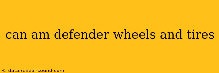can am defender wheels and tires