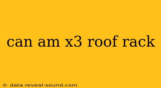 can am x3 roof rack