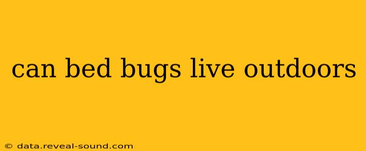 can bed bugs live outdoors