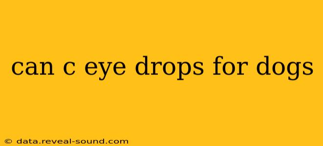 can c eye drops for dogs