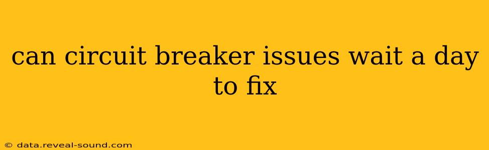 can circuit breaker issues wait a day to fix