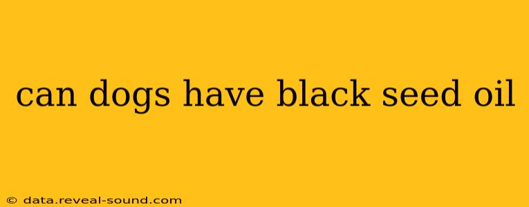 can dogs have black seed oil