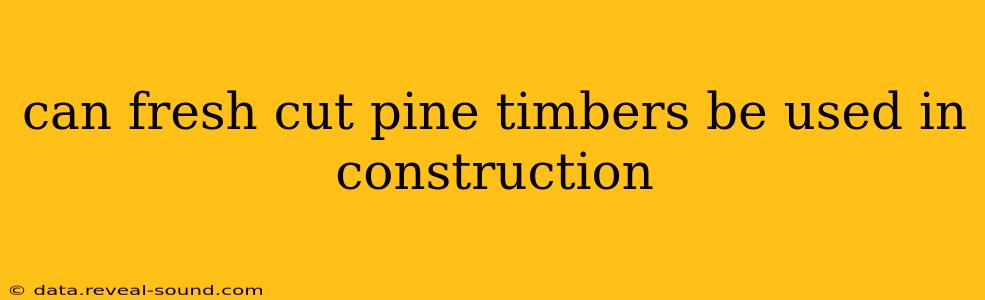 can fresh cut pine timbers be used in construction