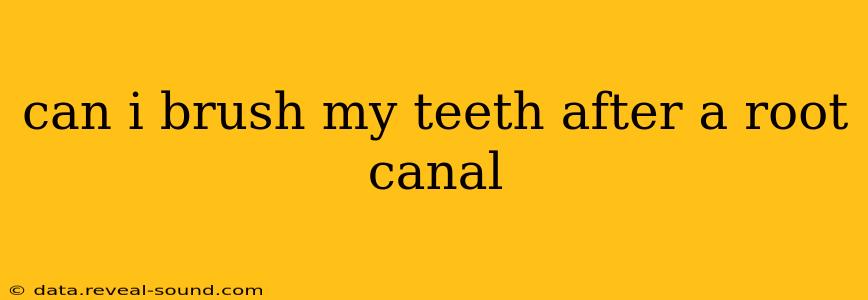 can i brush my teeth after a root canal