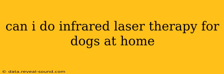 can i do infrared laser therapy for dogs at home