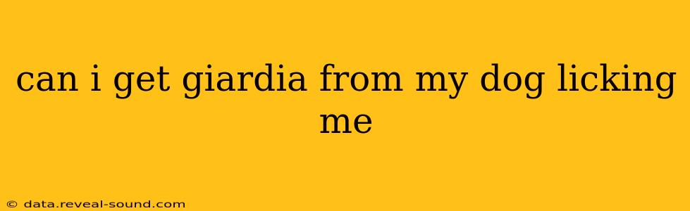 can i get giardia from my dog licking me