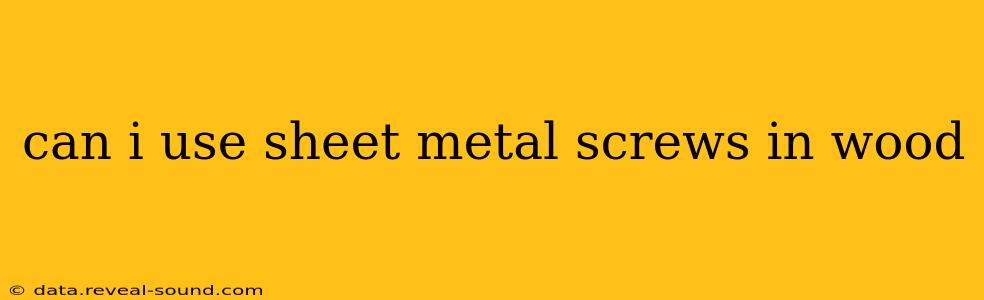 can i use sheet metal screws in wood