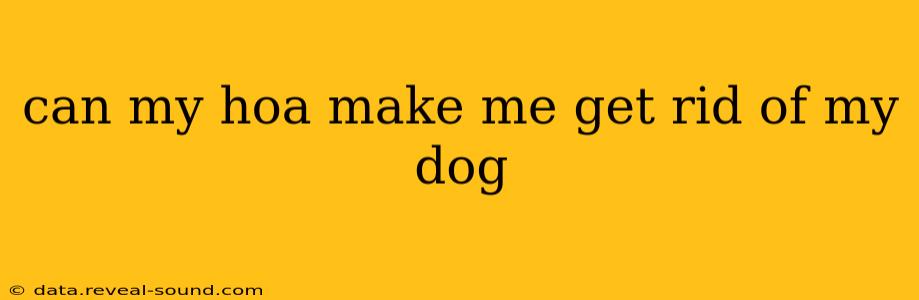 can my hoa make me get rid of my dog