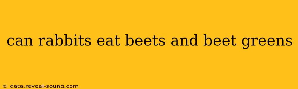 can rabbits eat beets and beet greens