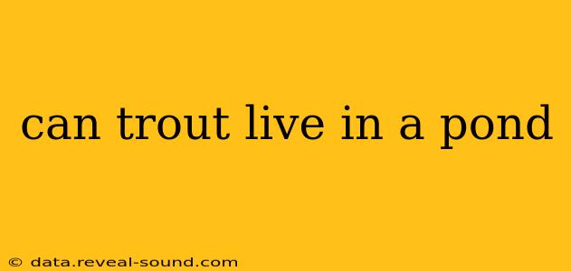 can trout live in a pond