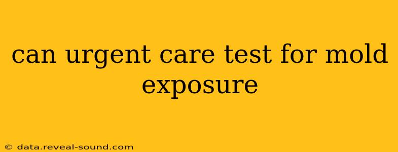 can urgent care test for mold exposure