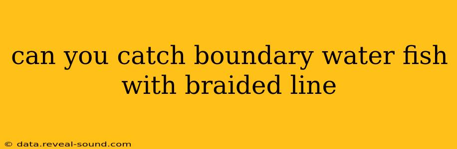 can you catch boundary water fish with braided line