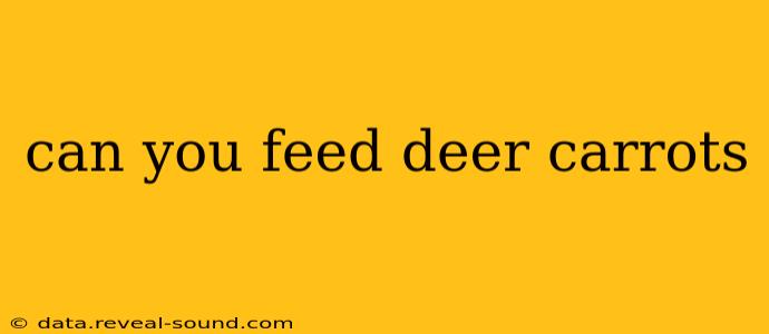can you feed deer carrots