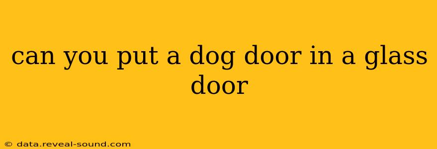 can you put a dog door in a glass door