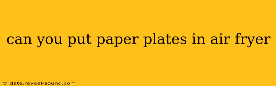 can you put paper plates in air fryer