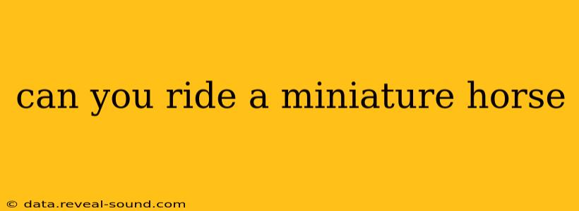 can you ride a miniature horse