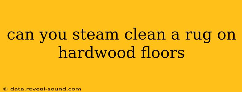 can you steam clean a rug on hardwood floors