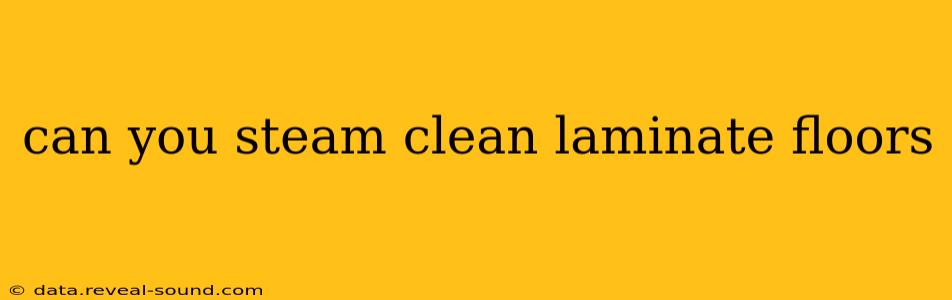 can you steam clean laminate floors