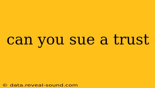 can you sue a trust