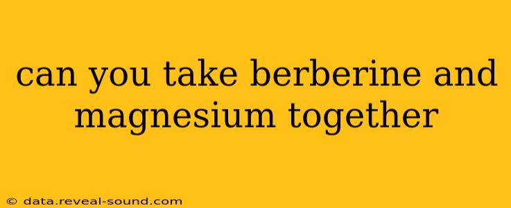 can you take berberine and magnesium together