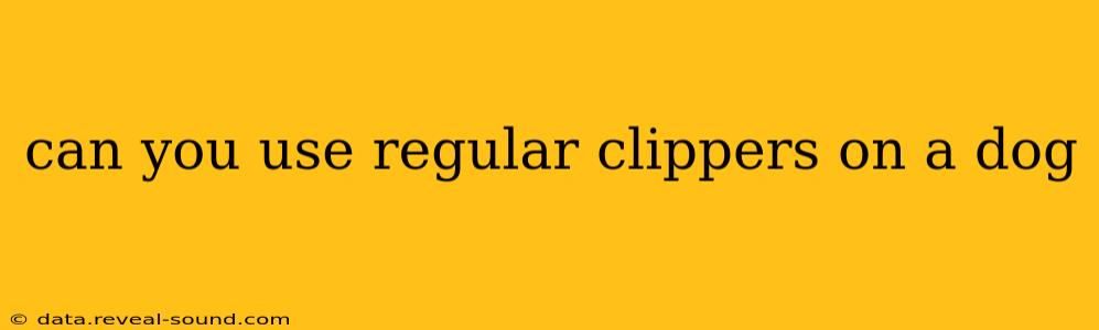 can you use regular clippers on a dog