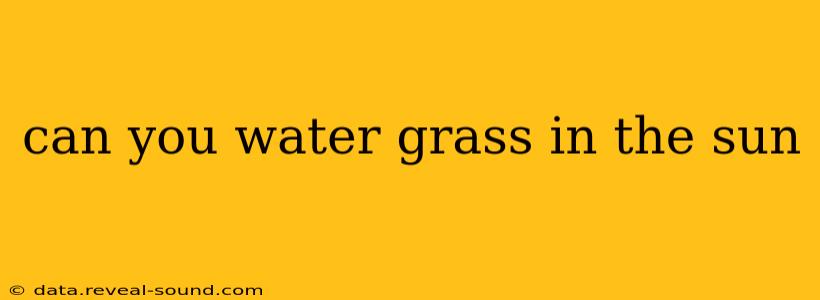 can you water grass in the sun