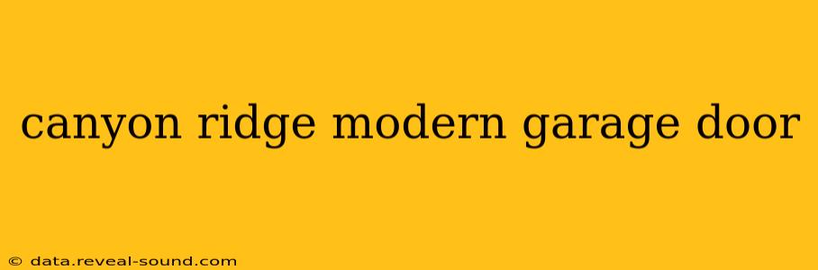 canyon ridge modern garage door