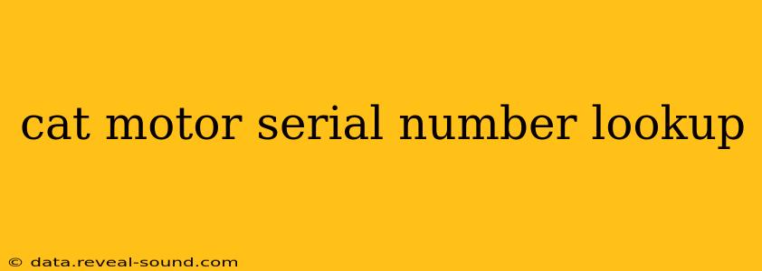 cat motor serial number lookup